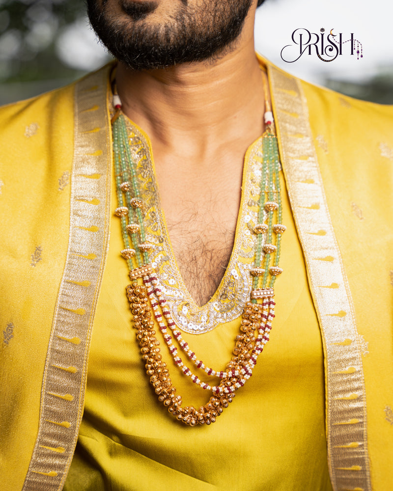 Nirupam Paritala